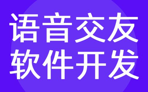 語音交友軟件開發(fā)與定制 紅匣子科技的技術轉讓服務