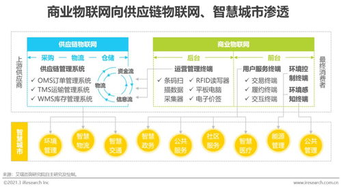 2021年中國商業(yè)物聯(lián)網(wǎng)行業(yè)研究報告 應用軟件服務的演進與未來趨勢
